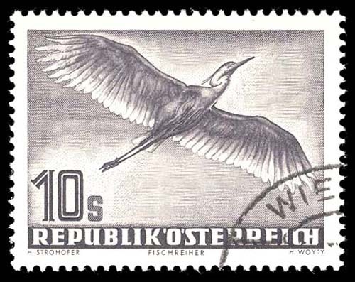 Lot 91913 - C59