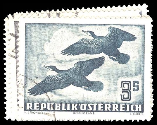 Lot 91916 - C54-60