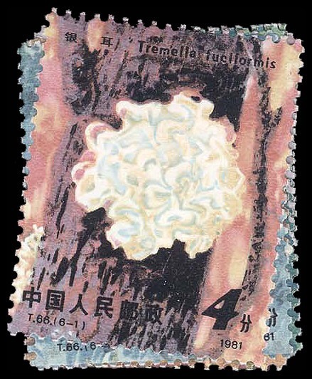 Lot 93320 - 1703-08