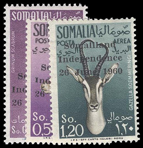Lot 93374 - 242