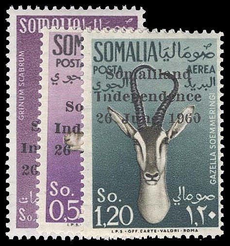 Lot 93375 - 242