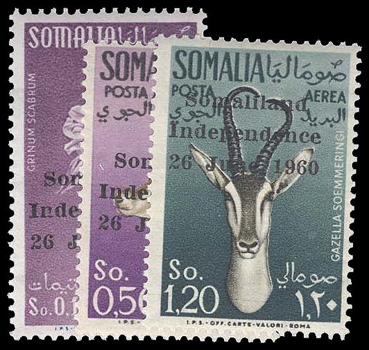 Lot 93376 - 242