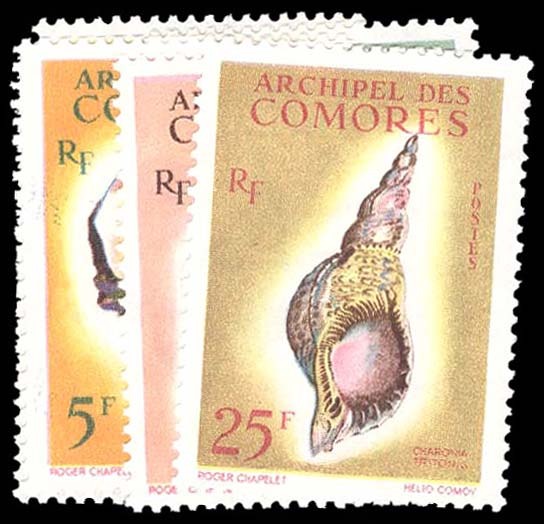 Lot 96205 - 48-53