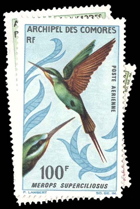 Lot 96207 - 69-72