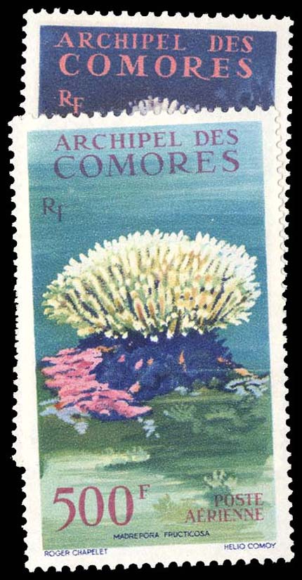 Lot 96210 - C5-6