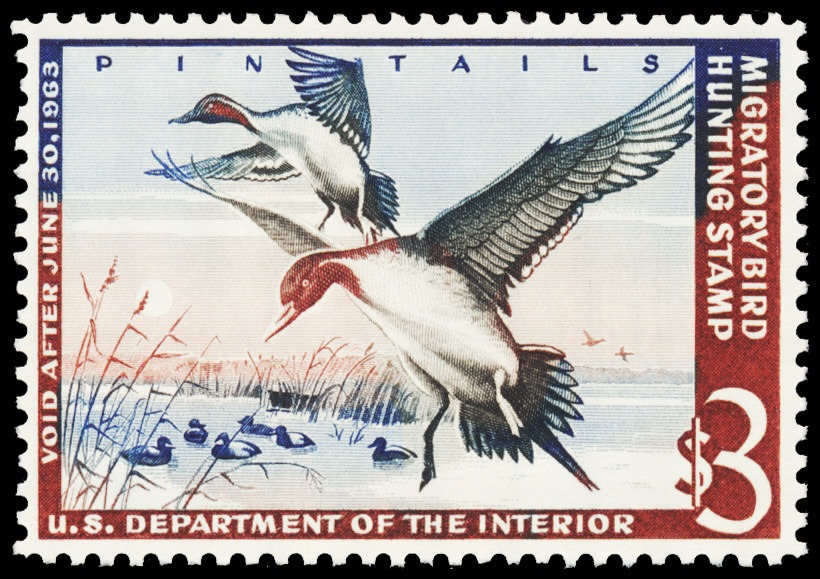Lot 100569 - RW29