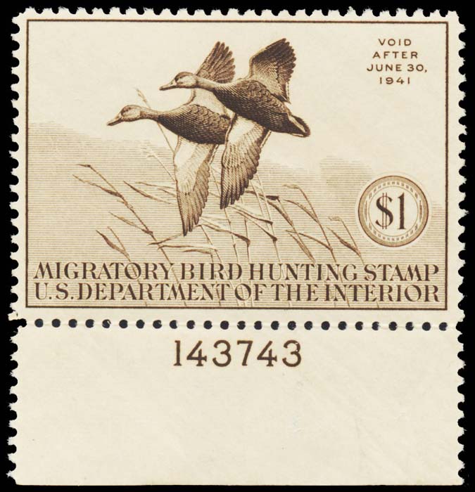 Lot 100577 - RW7