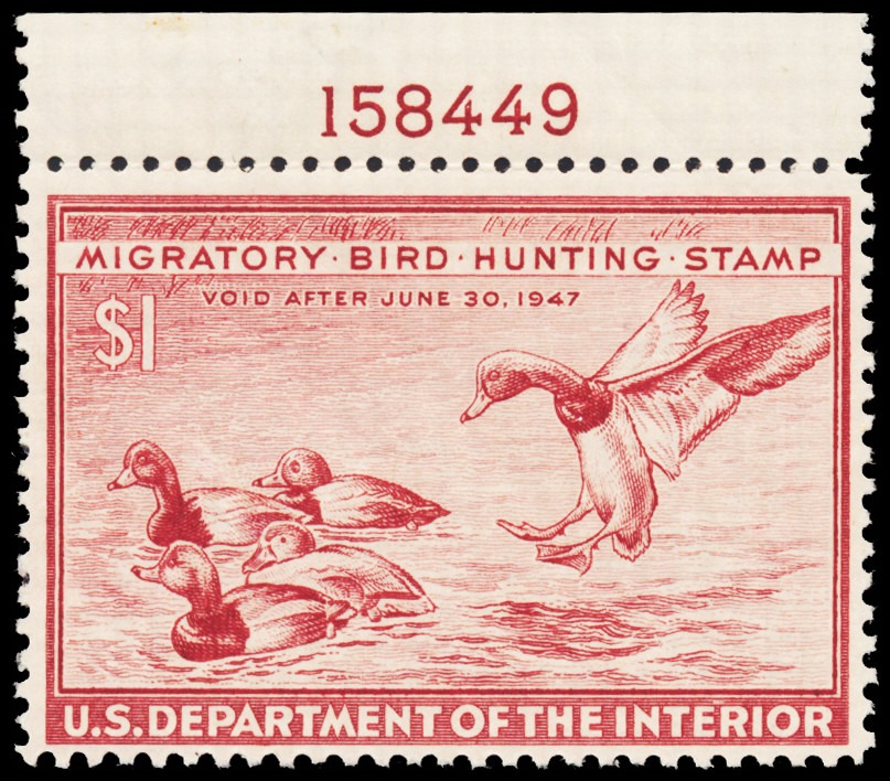Lot 100581 - RW13