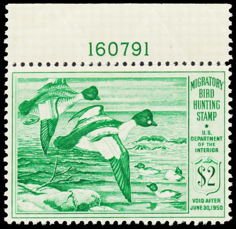 Lot 100584 - RW16