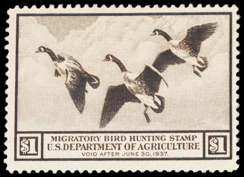 Lot 101990 - RW3