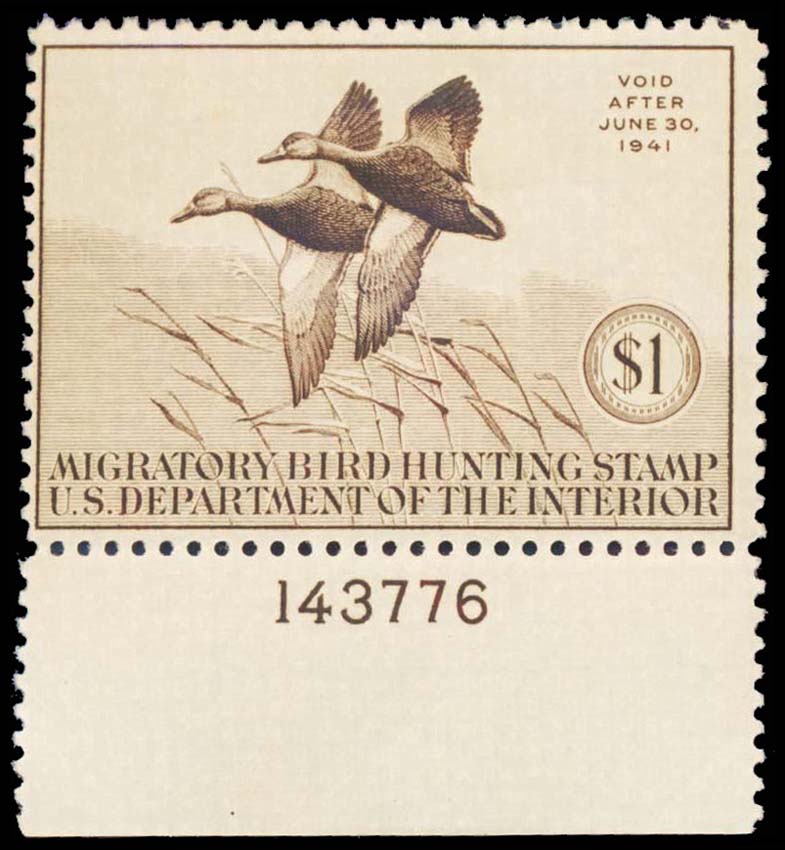 Lot 102000 - RW7