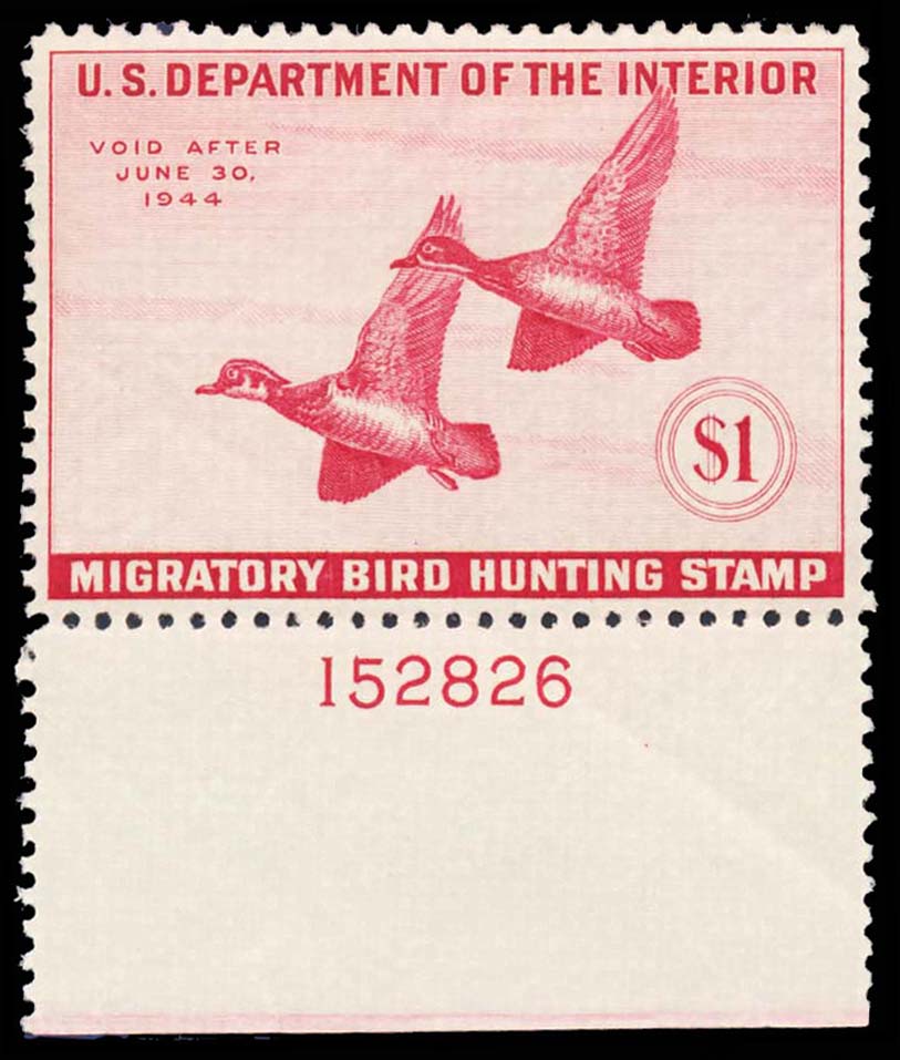 Lot 102001 - RW10