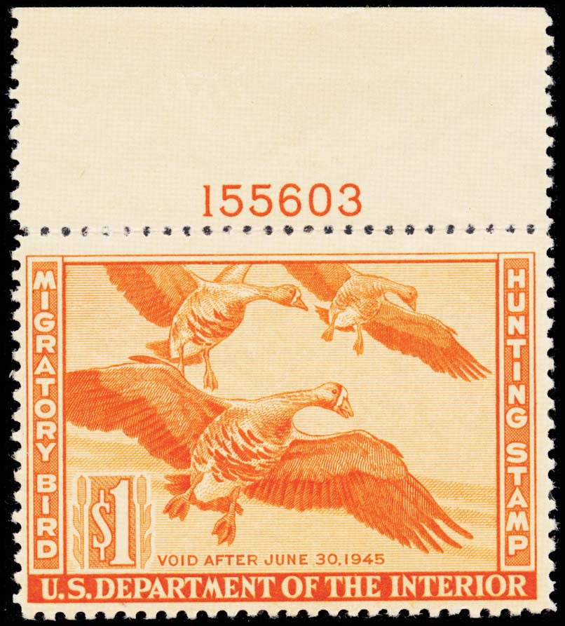 Lot 102462 - RW11