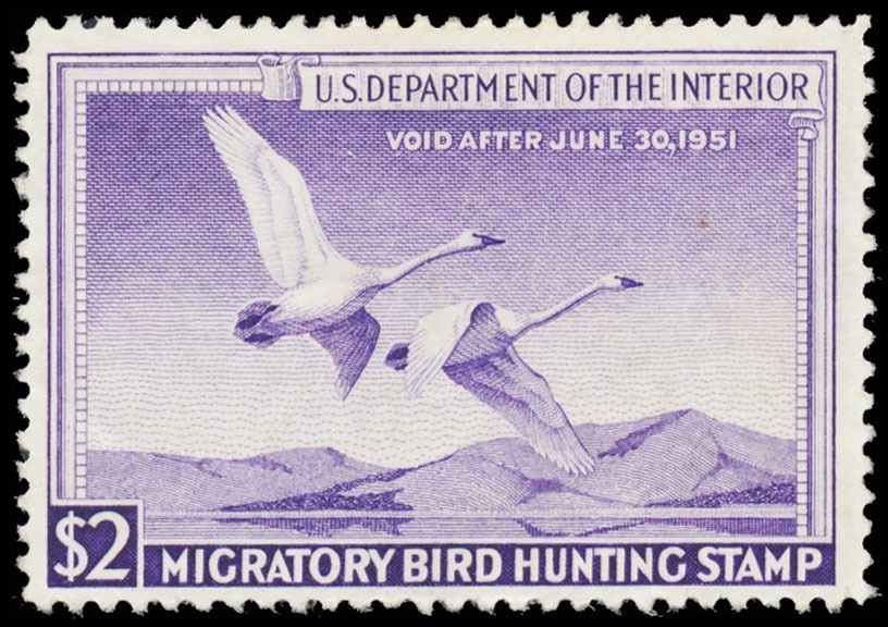 Lot 103571 - RW17