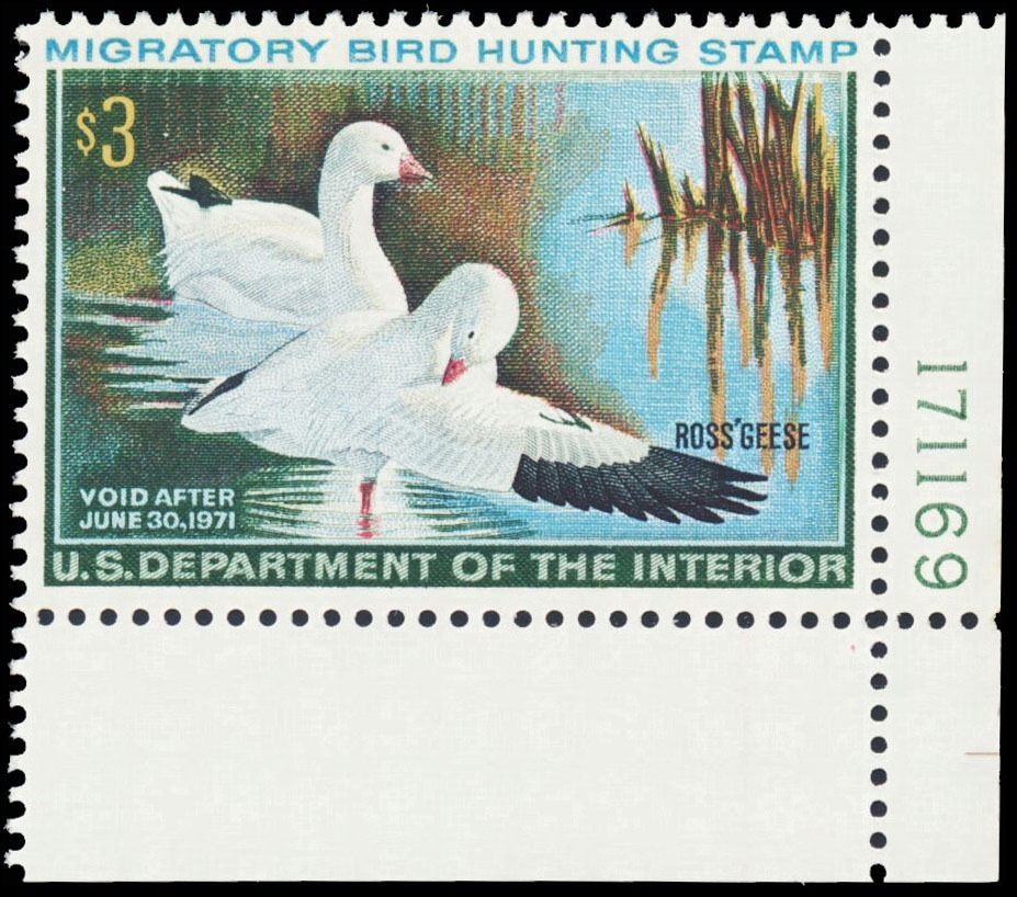 Lot 103572 - RW37