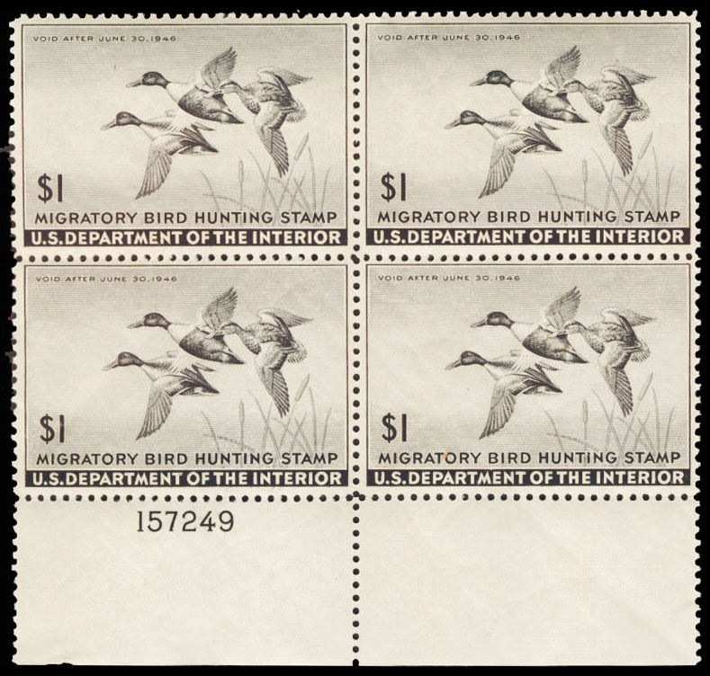 Lot 104892 - RW12