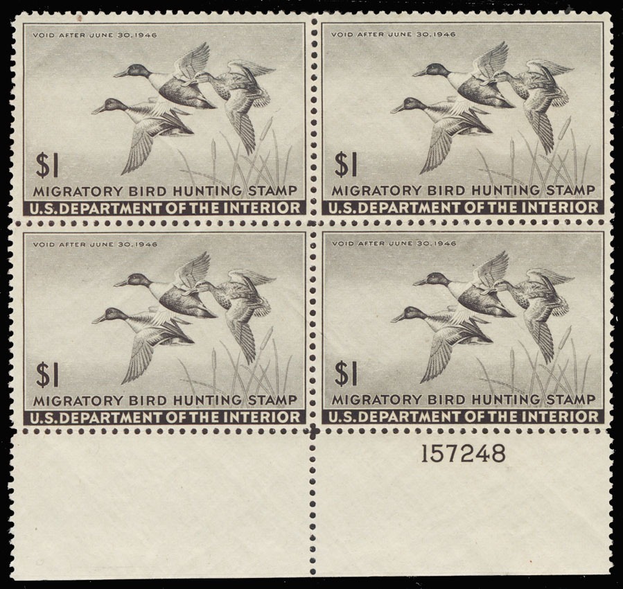Lot 104893 - RW12