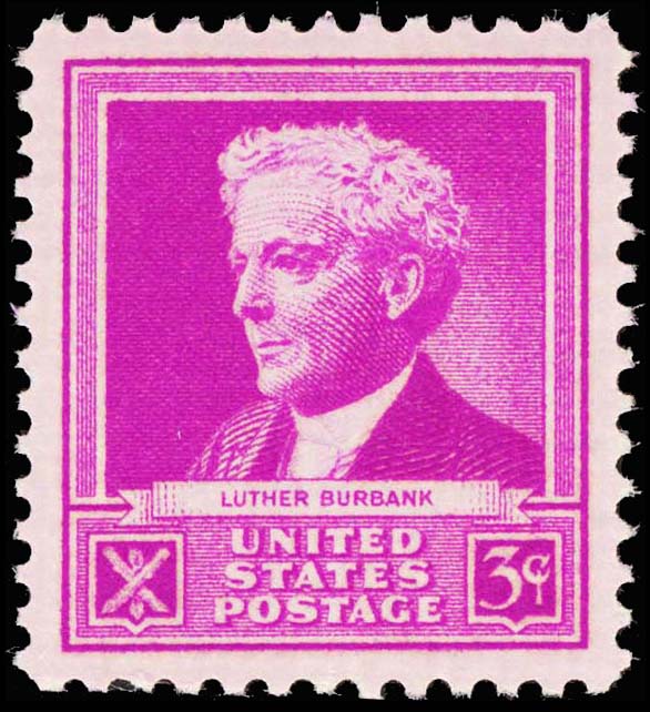 Lot 108251 - 876