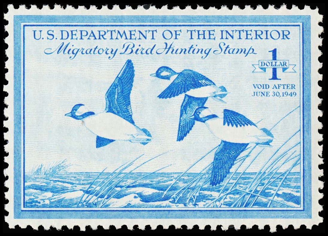 Lot 109611 - RW15