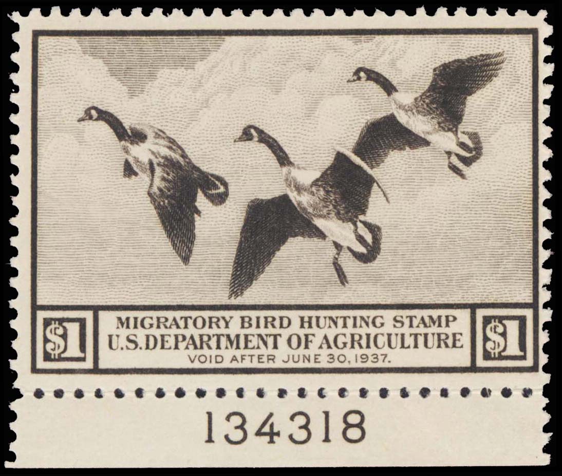 Lot 113657 - RW3