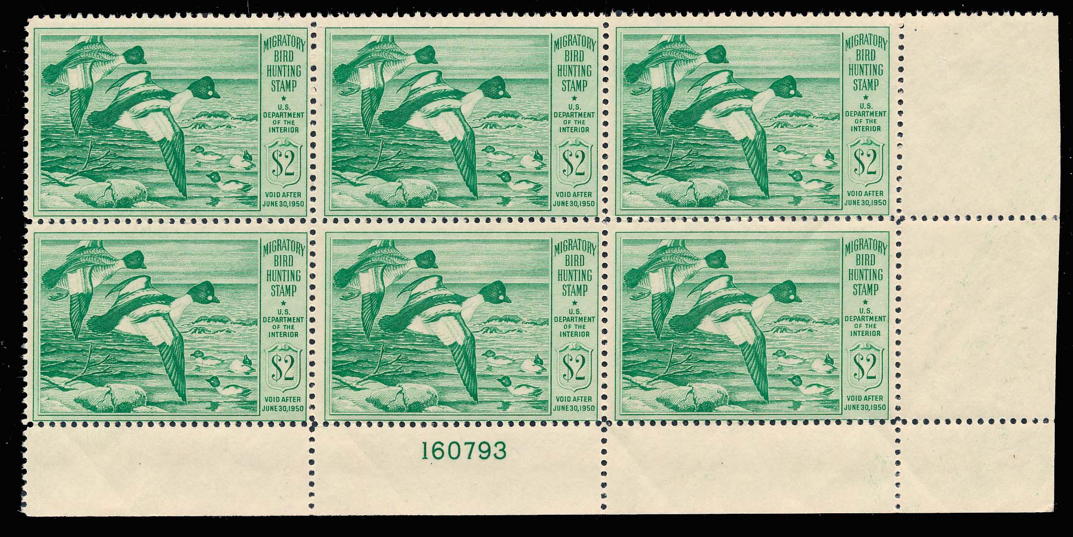 Lot 113702 - RW16
