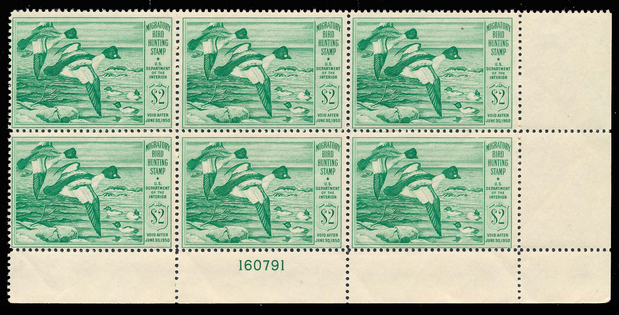 Lot 113703 - RW16