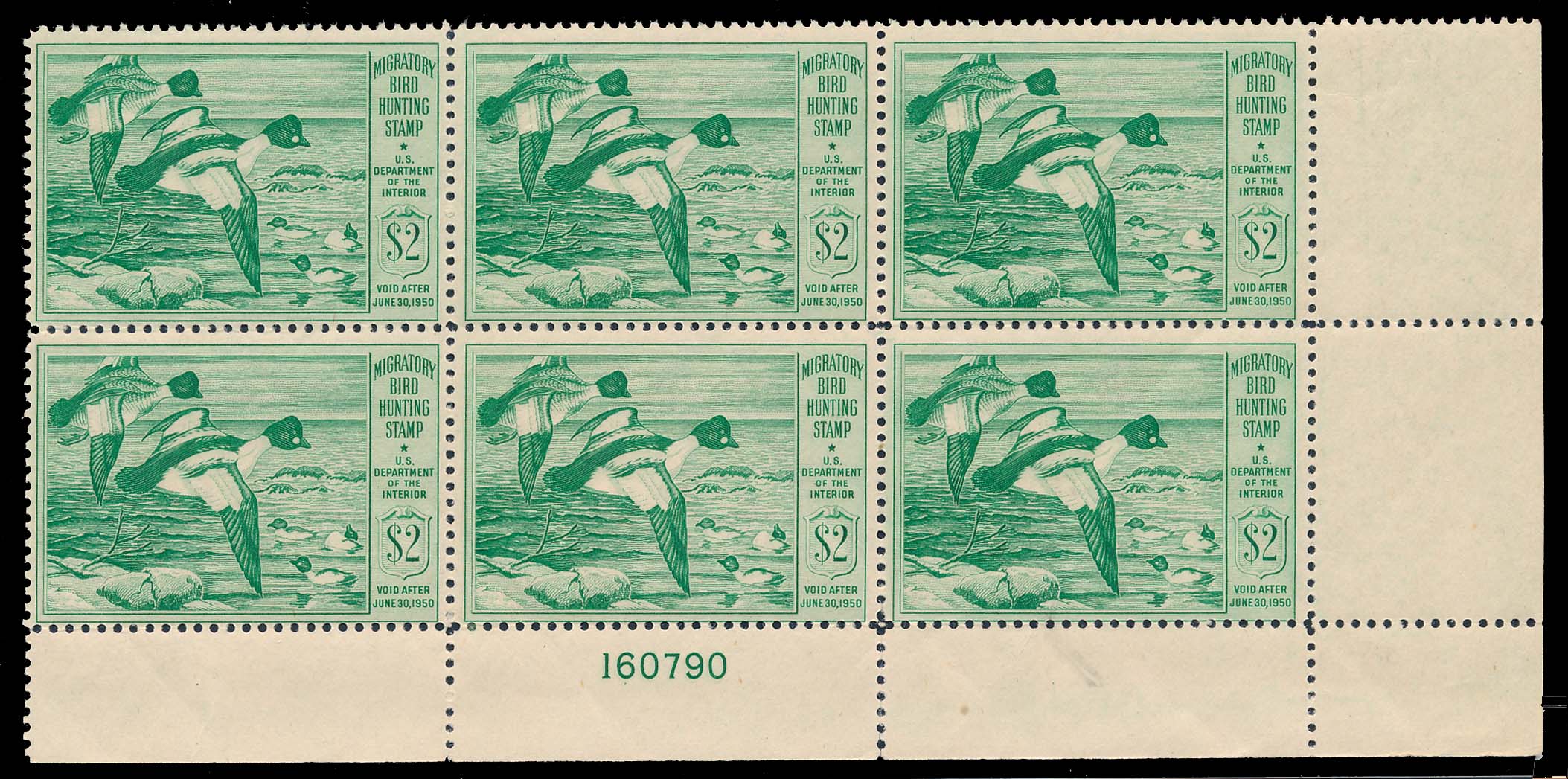 Lot 113704 - RW16