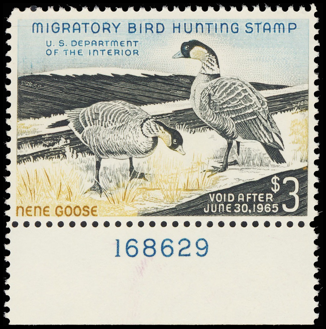 Lot 115547 - RW31