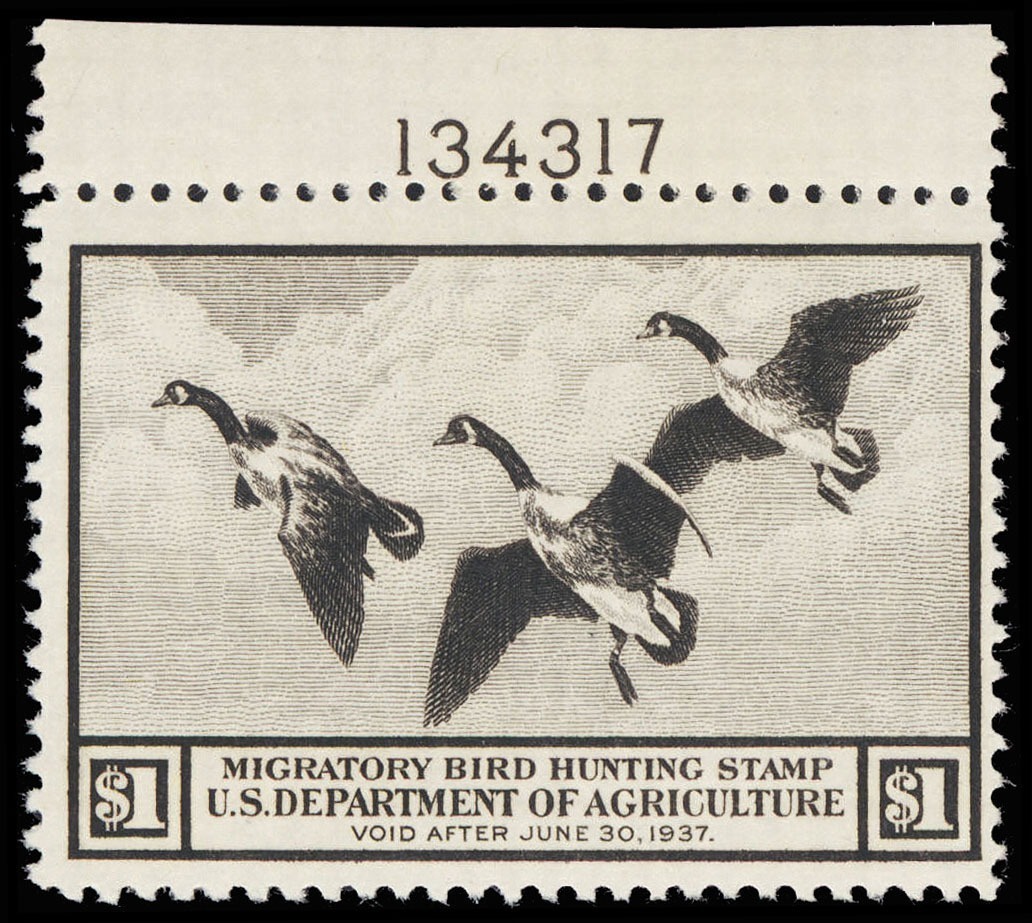 Lot 116037 - RW3