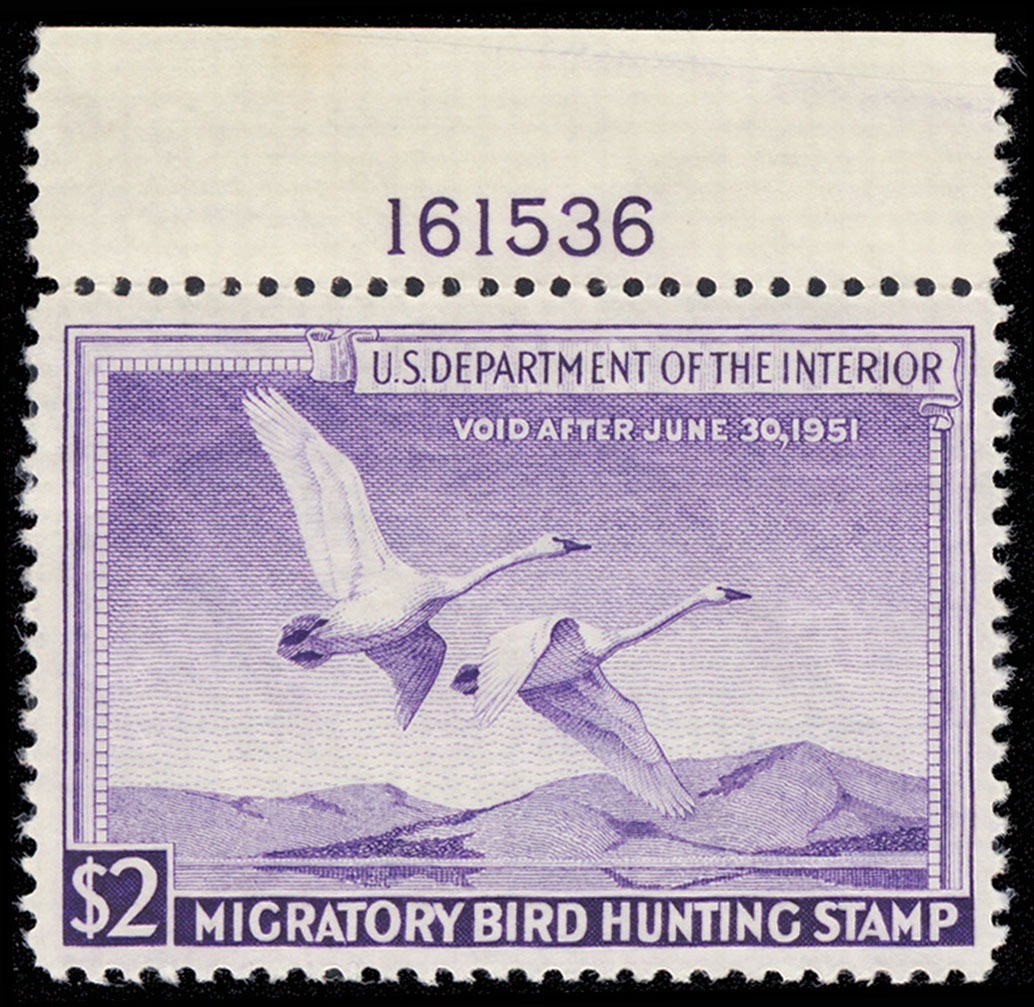 Lot 116492 - RW17