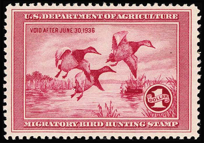 Lot 119273 - RW2