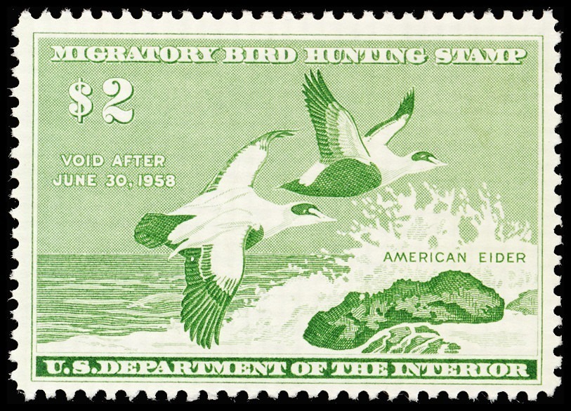 Lot 158157 - RW24