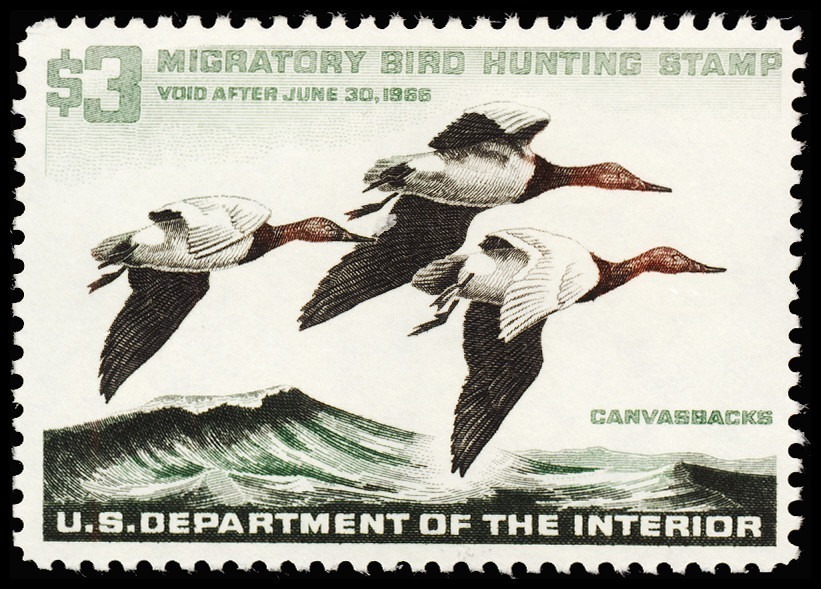 Lot 158163 - RW32