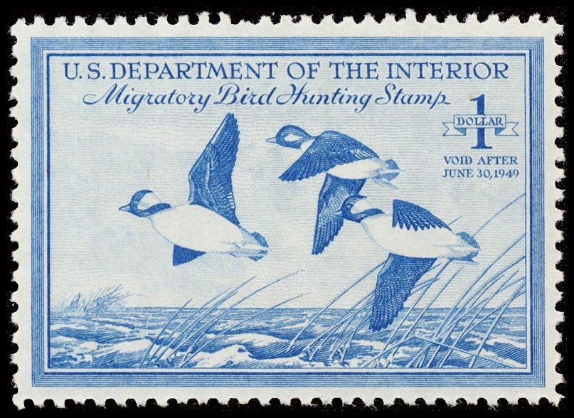 Lot 160007 - RW15