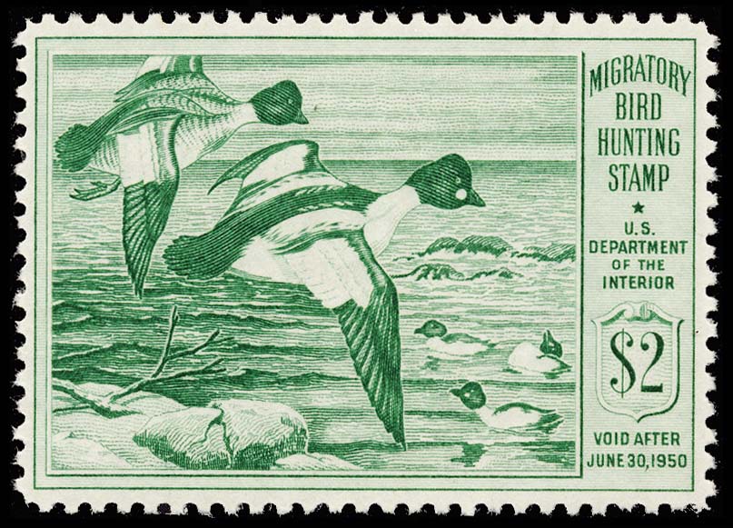 Lot 161281 - RW16