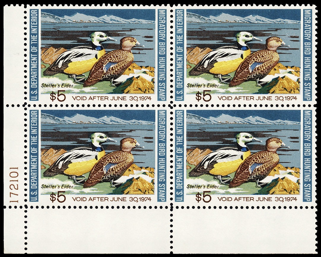 Lot 162234 - RW40