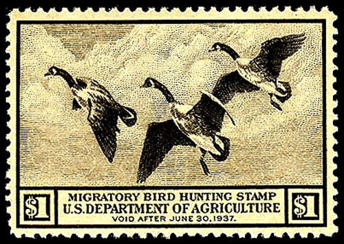 Lot 43951 - RW3
