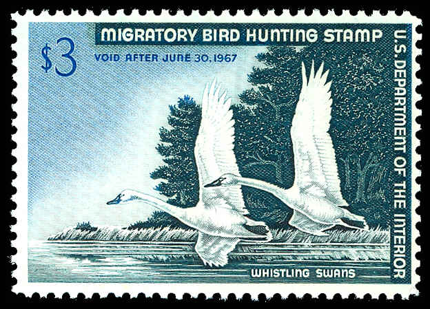 Lot 75269 - RW33