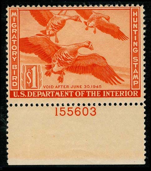 Lot 81460 - RW11