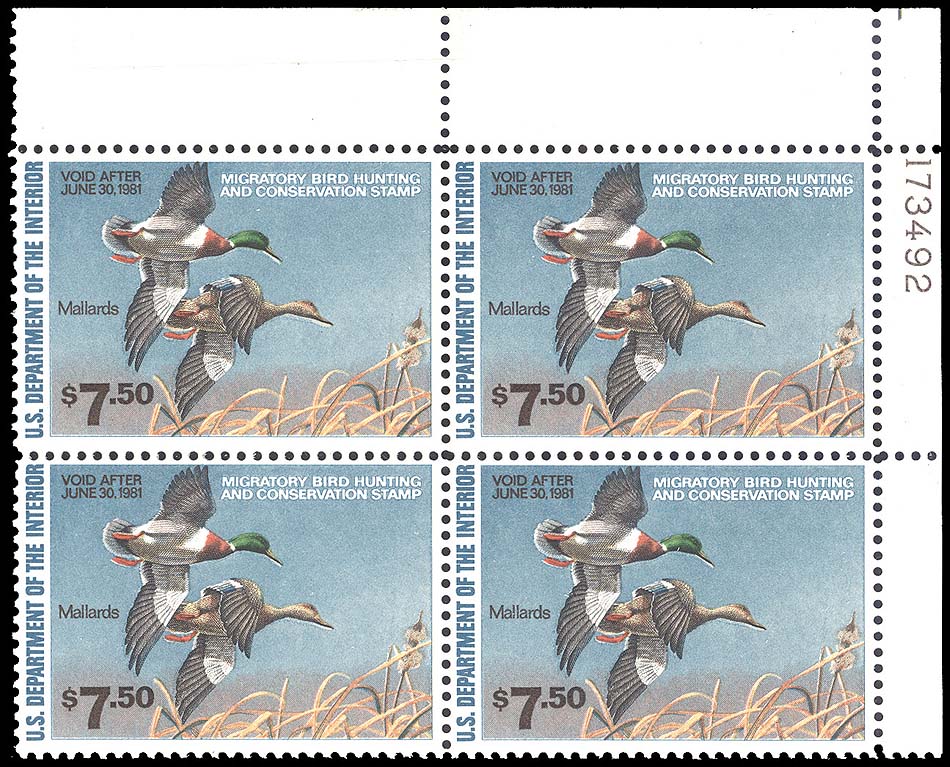 Lot 92838 - RW47