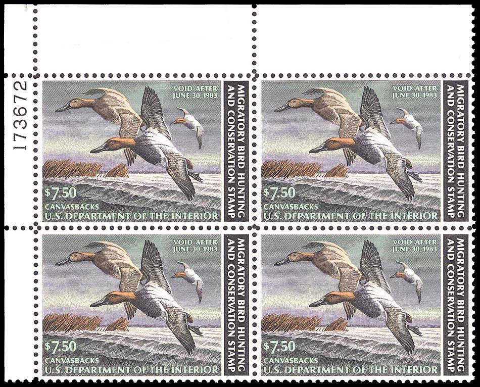 Lot 92840 - RW49