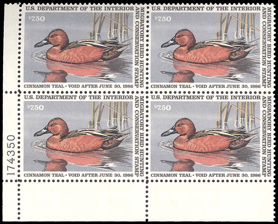 Lot 92842 - RW52