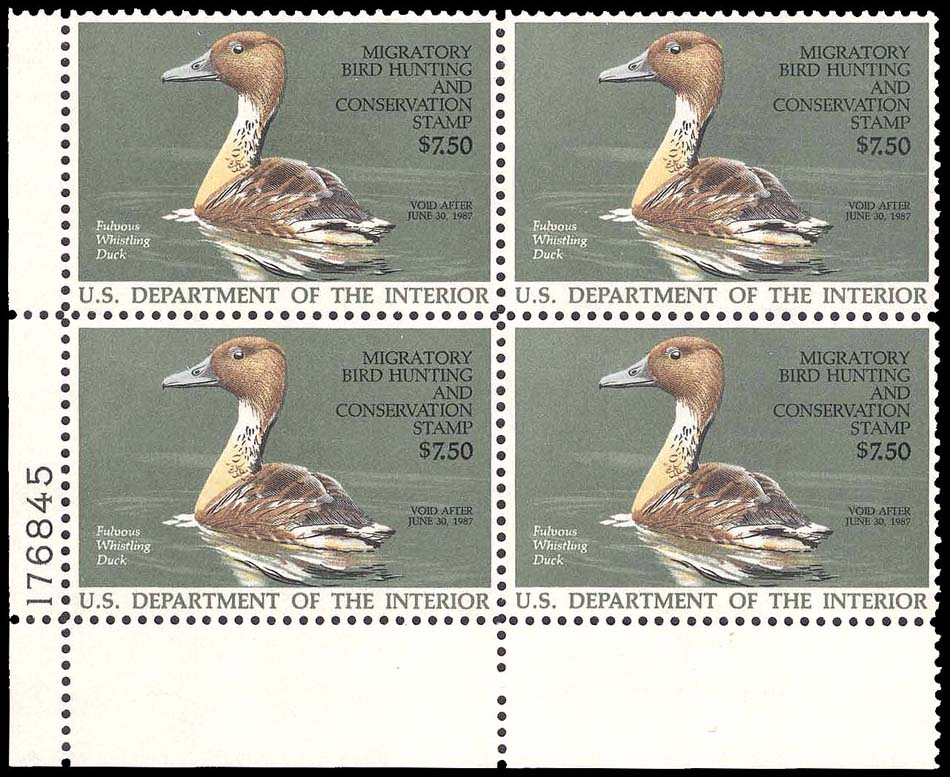 Lot 92843 - RW53