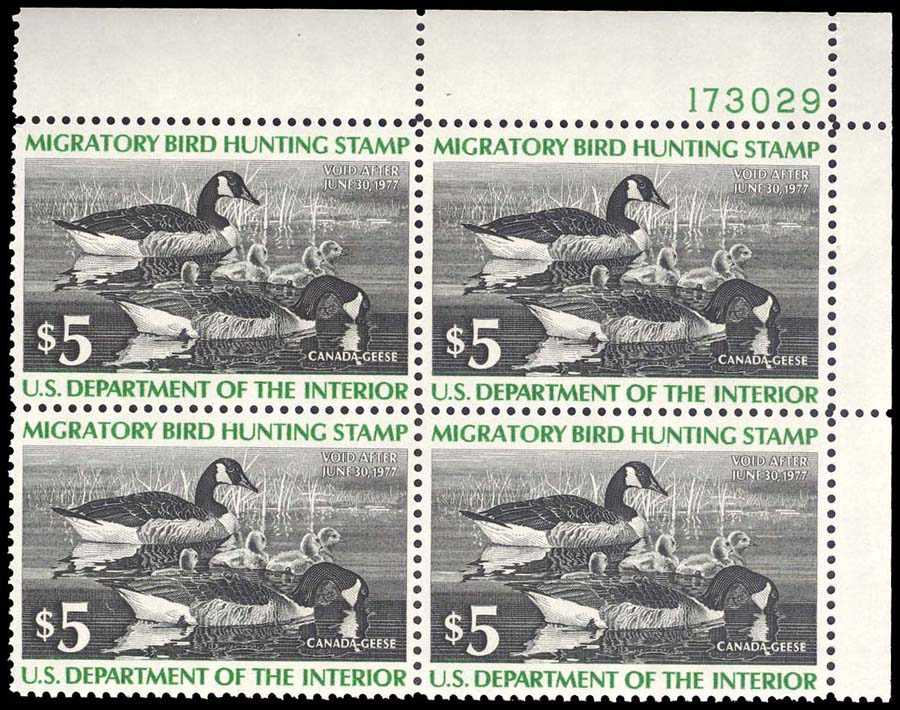 Lot 95411 - RW43