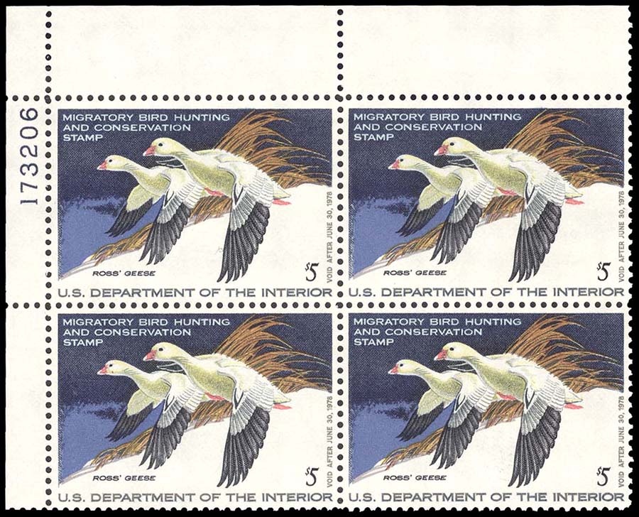 Lot 95412 - RW44
