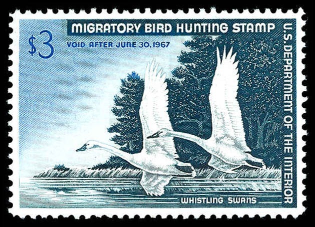 Lot 96936 - RW33