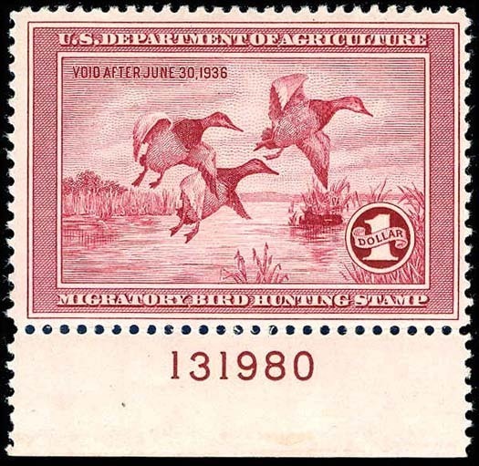 Lot 99438 - RW2