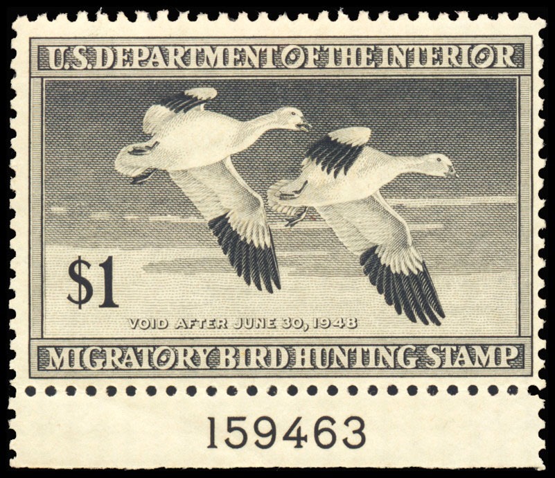 Lot 99695 - RW14