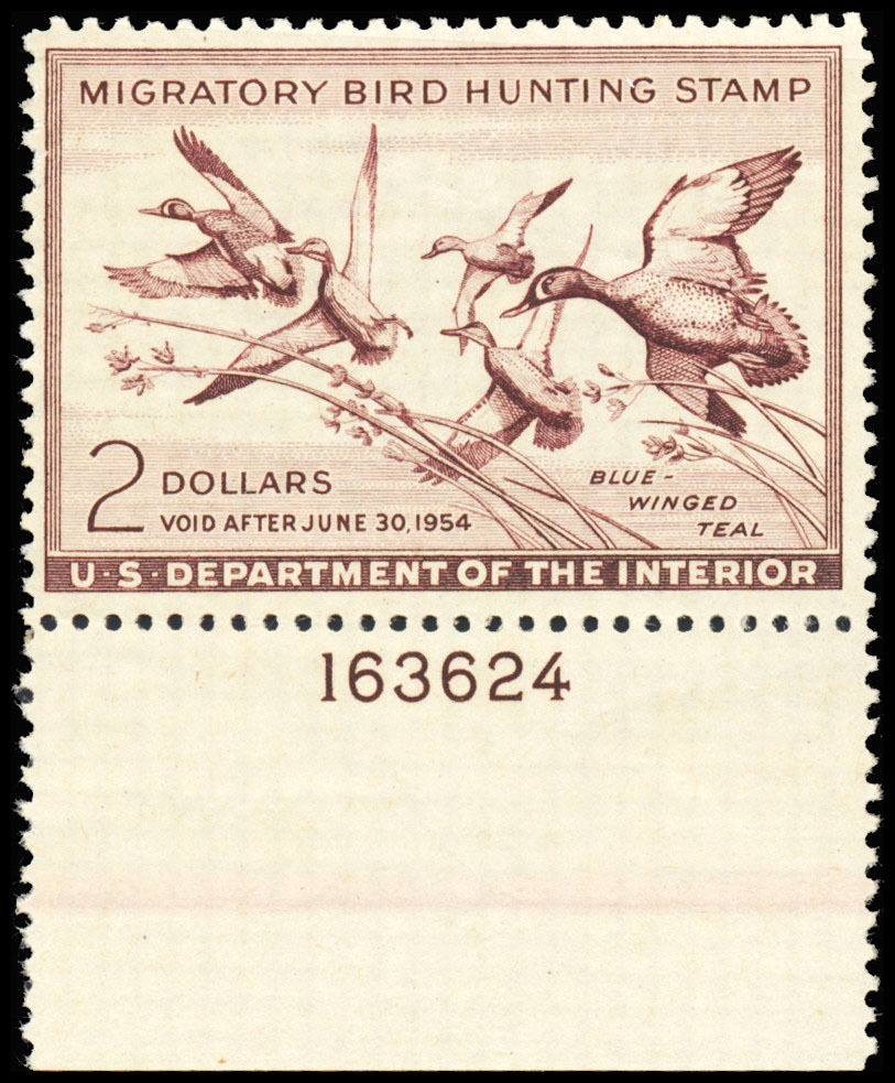 Lot 99697 - RW20