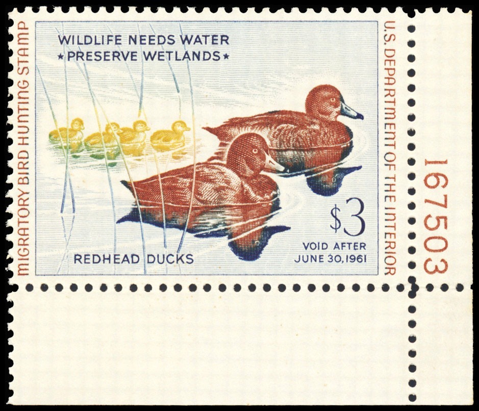 Lot 99703 - RW27
